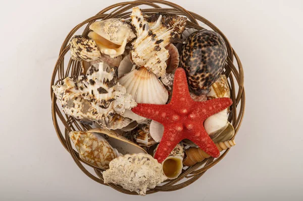 Starfish and various shells in a wicker basket on a white background. Close up