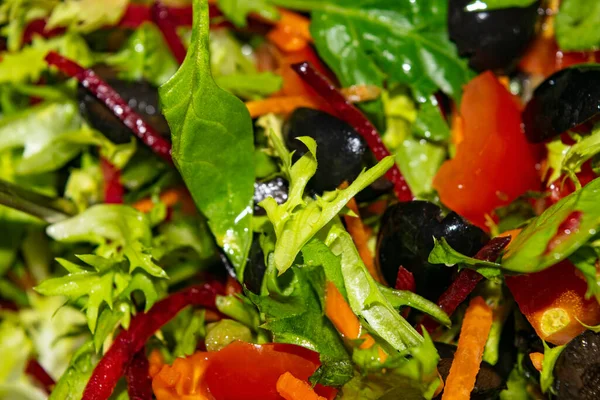 Ensalada Verduras Rodajas Tomates Zanahorias Remolachas Lechuga Rúcula Aceitunas Imagen —  Fotos de Stock