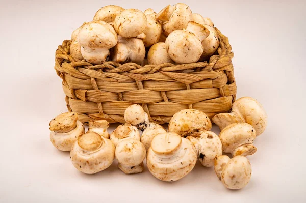 Young mushrooms in a wicker basket and young mushrooms scattered on a white background. Close up