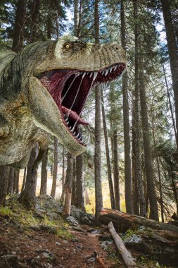T-Rex dinozoru yakın plan, kozalaklı bir ormanda kükreyen. 3D fotorealistik illüstrasyon.