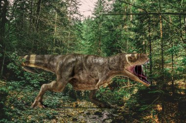 T-Rex dinozoru kozalaklı bir ormanda kükrüyor. 3D fotorealistik illüstrasyon.