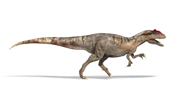 Δεινόσαυρος Αλλόσαυρος Πλαϊνή Όψη Τρισδιάστατη Φωτορεαλιστική Απεικόνιση Λευκό Φόντο Περιλαμβάνεται — Φωτογραφία Αρχείου