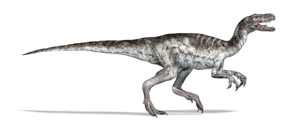 Herrerasaurus Dinazoru Fotorealistik Resim Beyaz Arkaplanda Kırpma Yolu Dahil Yan — Stok fotoğraf