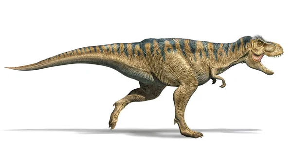 Динозавр Тираннозавр Бежит Фотографический Вид Сбоку Белом Фоне Путь Обрезки — стоковое фото
