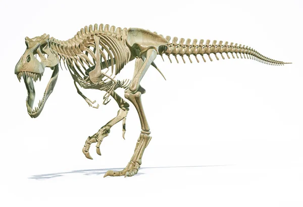 Rex Full Skeleton Dynamic Pose Photo Realistic Illustration White Background — Stock Photo, Image