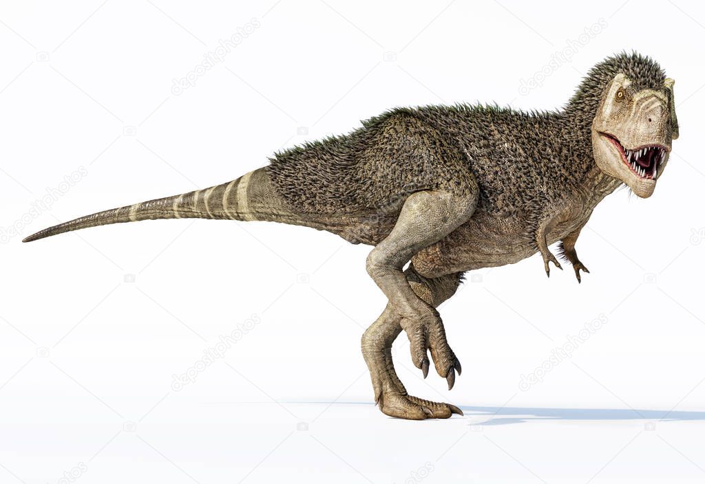 T-rex dinosaur with feathers. 3d photorealistic rendering on white background.