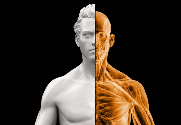 Anatomy Man Bust Half Ray Half Clay Illustration Black Background — Stock Photo, Image