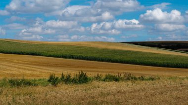 Tarım alanları bulutlu bir gökyüzü