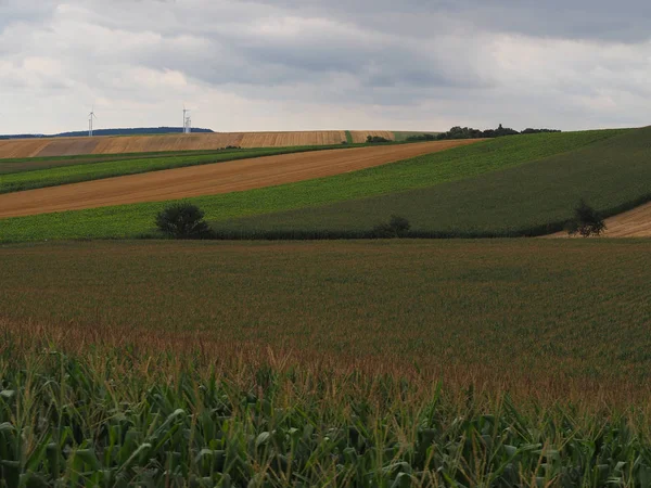 Campi agricoli un cielo nuvoloso — Foto Stock