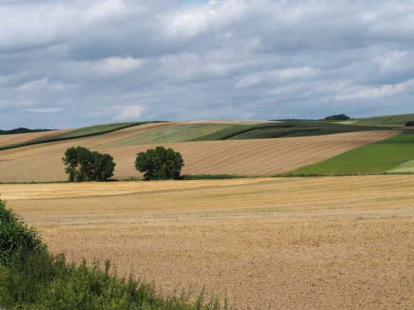 Campi agricoli un cielo nuvoloso — Foto Stock