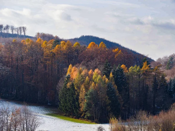 雪で秋の森 — ストック写真