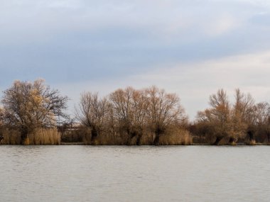 Güz bulutlu bir günde gölet