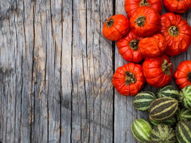 Sonbaharda süslenmiş kırmızı biber ve yeşil salatalık.