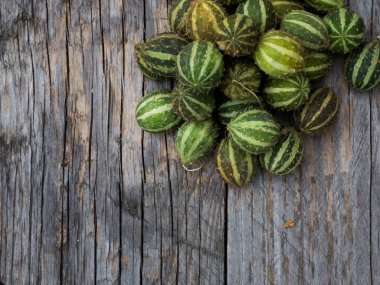 Salatalık biberi hayat dolu.