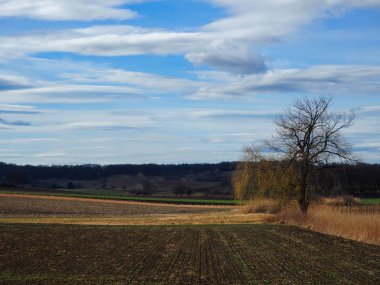 Sonbaharda kırsal alan ve bulutlu gökyüzü