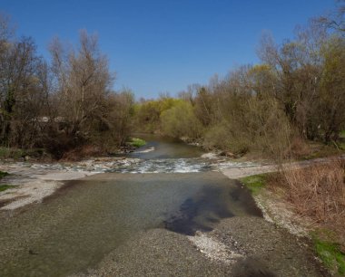 Nehrin aşağısındaki bir orman.