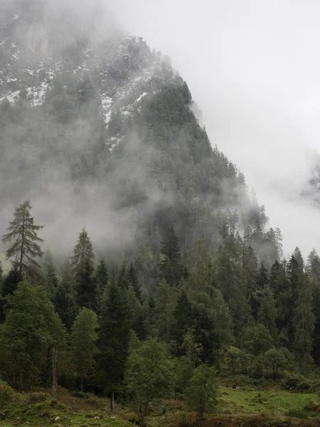 Vue sur la vallée de montagne par une journée brumeuse — Photo