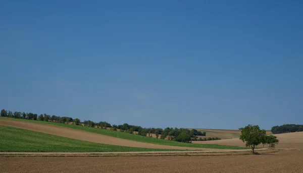 Terreni agricoli collinari e cielo blu — Foto Stock