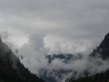 Sisli bir günde Alp dağlarında vadi manzarası