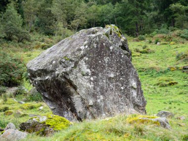 Kaya oluşumlu manzara dağ çayırı