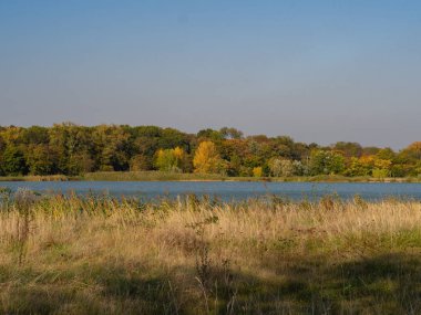 sonbahar yatay, bir su birikintisi