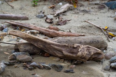 Kum tepecikleri ve taşların üzerinde sürüklenen