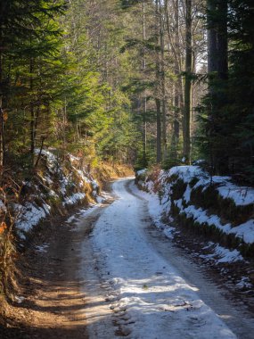 Kışın manzara ve ormanda kırsal yol
