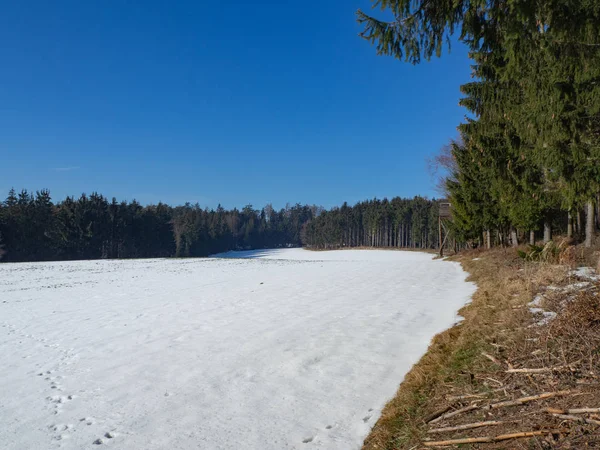 숲 속의 아름다운 겨울 풍경 — 스톡 사진