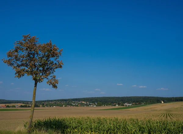 Campi agricoli paesaggistici in estate — Foto Stock