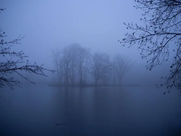 Lagoa no inverno em uma floresta nebulosa — Fotografia de Stock