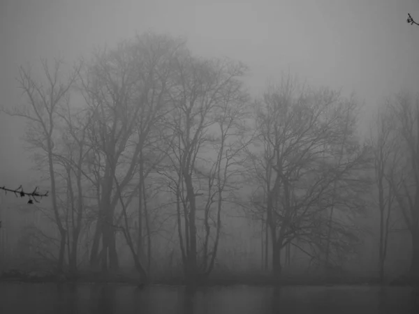 Lagoa no inverno em uma floresta nebulosa — Fotografia de Stock