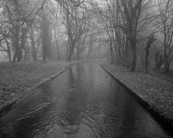 霧の日に森の中の小さな川 — ストック写真