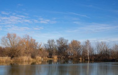 Güneşli bir kış gününde küçük bir göl