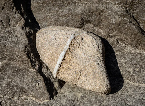 A grey stone with a white band on a stony ground