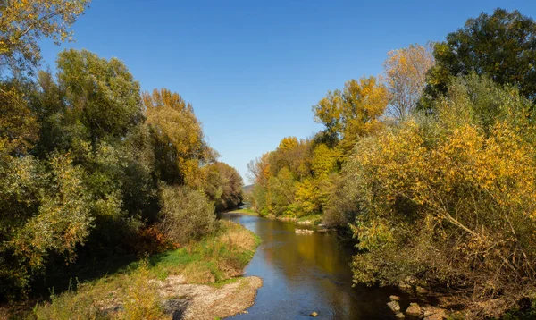 Creek Forest Clear Autumn Day — Stock Photo, Image