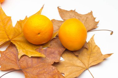 C vitamini zengin portakallar