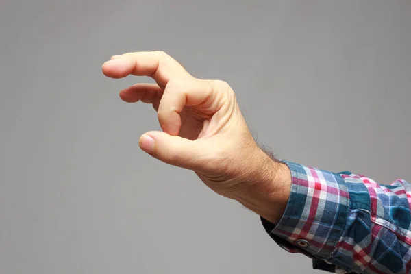 Palmo della mano, dita della mano, pugno — Foto Stock