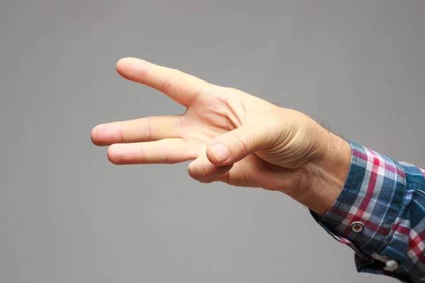Palma da mão, dedos da mão, punho — Fotografia de Stock