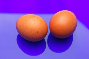 Tavuk yumurtaları, çiftlikten taze toplanmış çiğ yumurtalar.