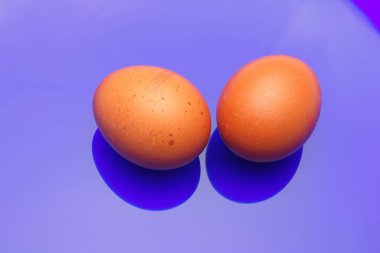 Tavuk yumurtaları, çiftlikten taze toplanmış çiğ yumurtalar.