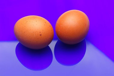 Tavuk yumurtaları, çiftlikten taze toplanmış çiğ yumurtalar.