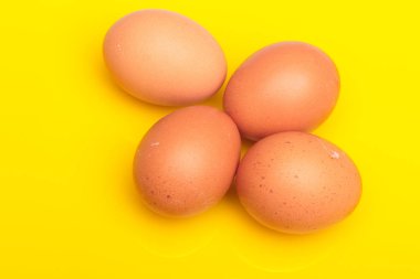 Tavuk yumurtaları, çiftlikten taze toplanmış çiğ yumurtalar.