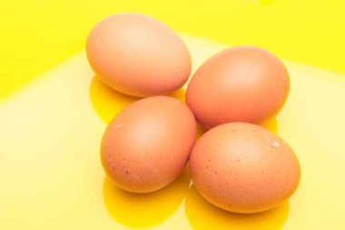 Tavuk yumurtaları, çiftlikten taze toplanmış çiğ yumurtalar.