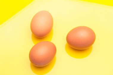 Tavuk yumurtaları, çiftlikten taze toplanmış çiğ yumurtalar.