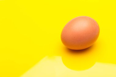 Tavuk yumurtaları, çiftlikten taze toplanmış çiğ yumurtalar.