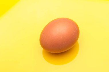 Tavuk yumurtaları, çiftlikten taze toplanmış çiğ yumurtalar.