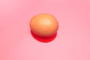 Tavuk yumurtaları, çiftlikten taze toplanmış çiğ yumurtalar.