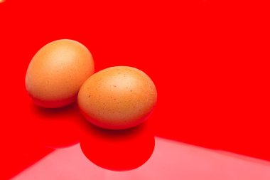 Tavuk yumurtaları, çiftlikten taze toplanmış çiğ yumurtalar.