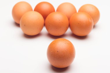 Tavuk yumurtaları, çiftlikten taze toplanmış çiğ yumurtalar.