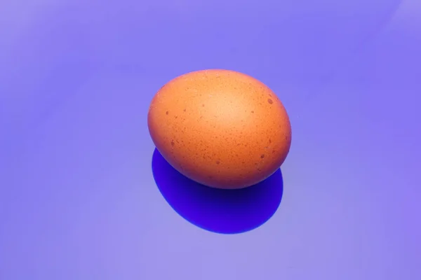 Kycklingägg, färska ägg som nyligen plockats från gården — Stockfoto